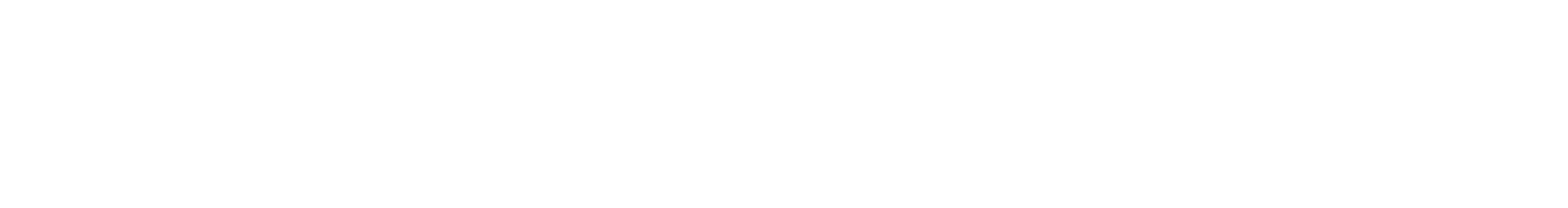DES Logo WHITE